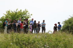 Alte Heilpflanzen wiederentdeckt 10. Juli 2011