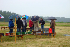 Herbertinger Bienenmarkt 29. Juni 2013