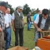 img_6531_800x533